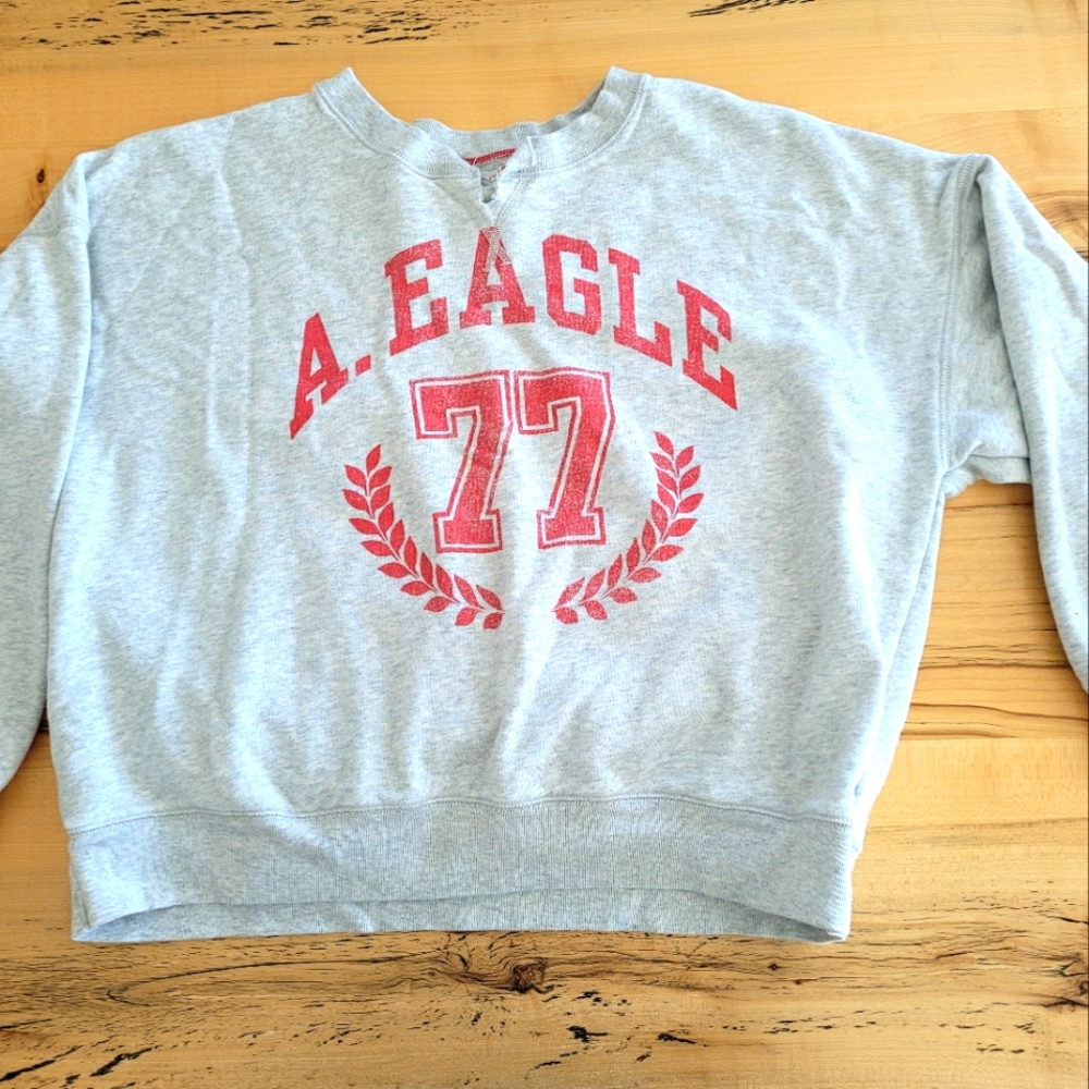 Sweatshirt American Eagle